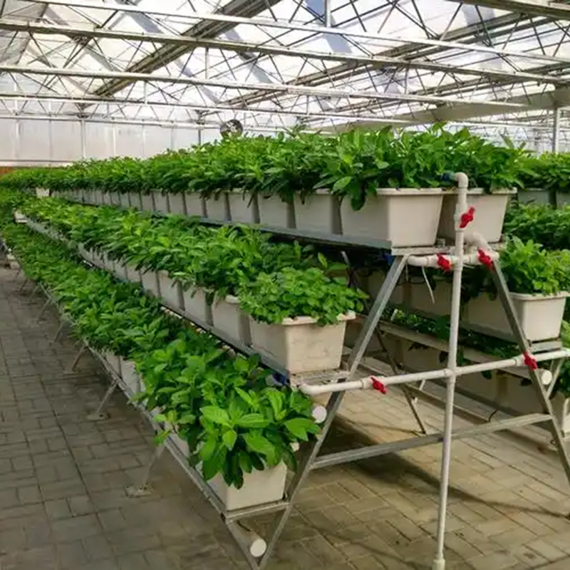 广元市植物工厂大田灌溉 - 厂家
